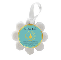 Spongellé Wild Flower Soap Sponge  - The Attic Boutique
