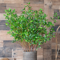 Mills Floral Company Coprosma Kirkii Spray 33"  - The Attic Boutique