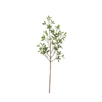 Mills Floral Company Coprosma Kirkii Spray 33"  - The Attic Boutique