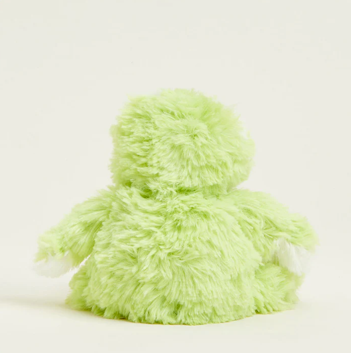 Warmies Frog Warmies Junior  - The Attic Boutique