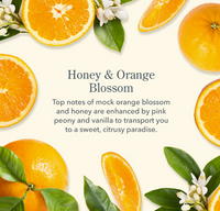 Beekman 1802 3-Piece Hand Cream Sampler: Honey & Orange Blossom/HO  - The Attic Boutique