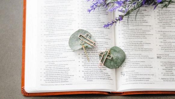 Church Notes Cross Clips | Set of 3  - The Attic Boutique