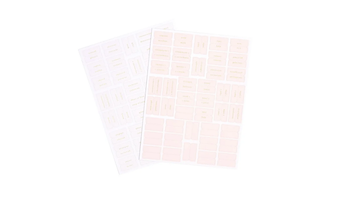 Church Notes Bible Tabs Pink & Cream  - The Attic Boutique