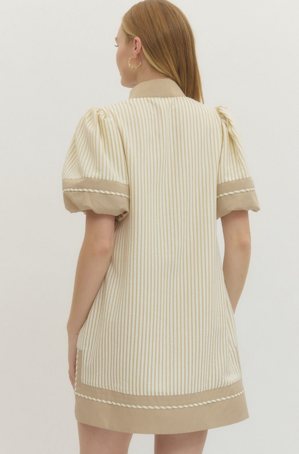 Entro Thea Stripe Mini Dress  - The Attic Boutique