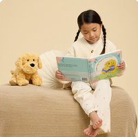 Warmies Golden Dog's Magical Adventure Book  - The Attic Boutique