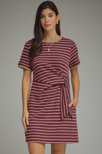 Plum Stripe Tie Waist Mini Dress