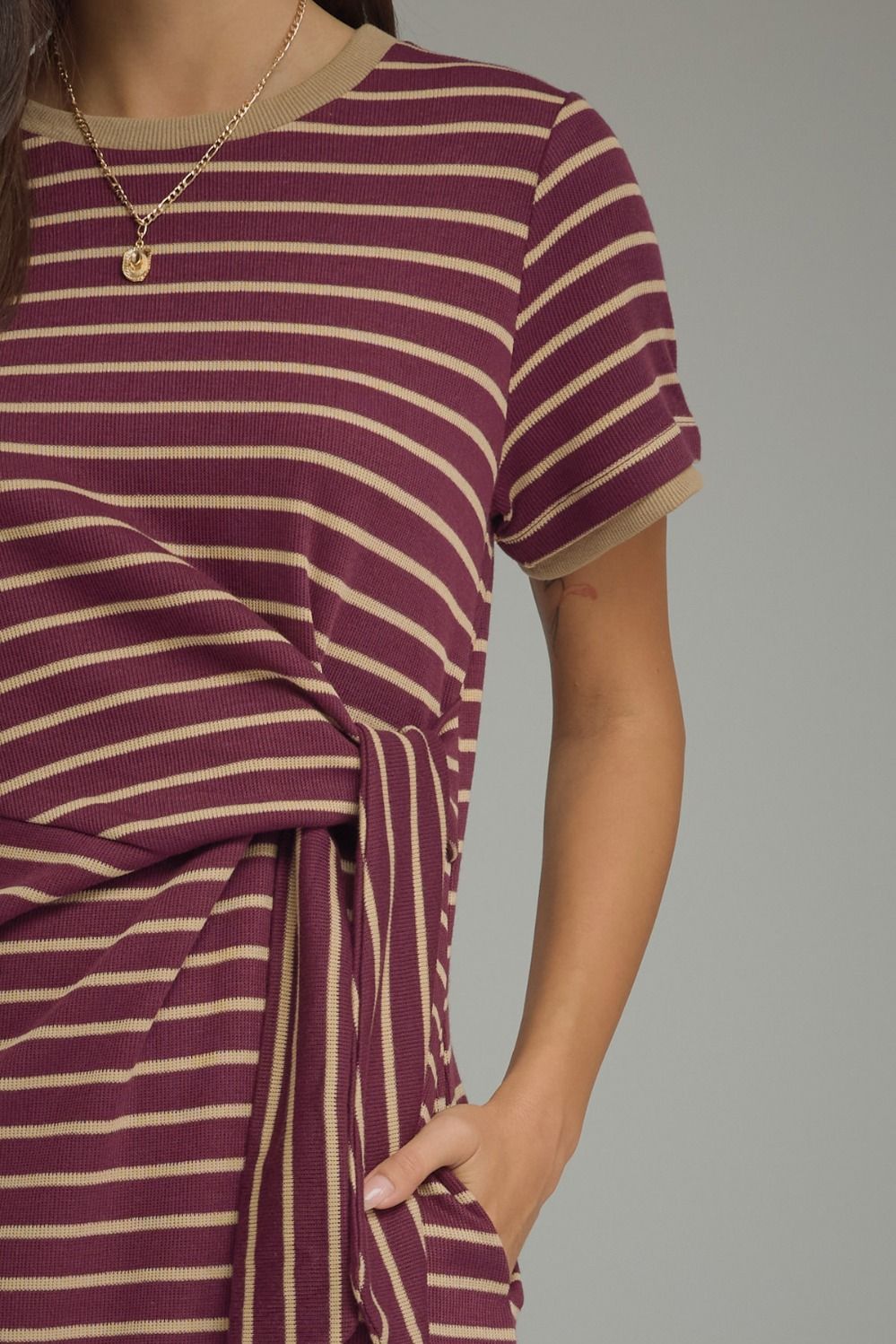 Plum Stripe Tie Waist Mini Dress