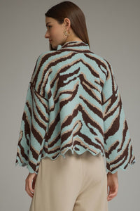 Lizzie Teal Zebra sweater